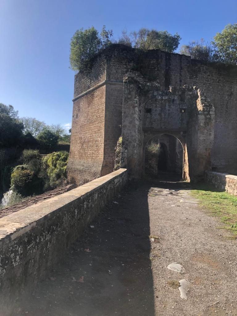 Appartamento Casuale House Castel Sant'Elia Esterno foto